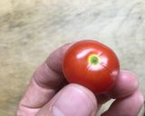 酸味がうまいミニトマトの梅酢シロップ漬け作り方1写真