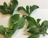 新野菜！シオーナと新玉ねぎポン酢和え作り方2写真