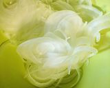 新野菜！シオーナと新玉ねぎポン酢和え作り方3写真