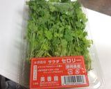 サラダセロリVS鶏ささ身野菜白だしお浸し作り方2写真