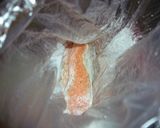 簡単！鮭のムニエルタルタルソースかけ作り方4写真
