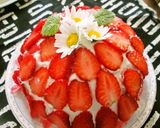 カルピスのヨーグルトチーズズコット作り方15写真