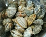 まるごとキャベツの旨味たっぷりあさり蒸し作り方2写真