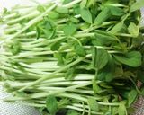 豆苗と鶏ひき肉の塩麹炒め作り方1写真