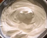 カルピスのヨーグルトチーズズコット作り方13写真
