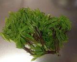 こしあぶらの胡麻和え作り方1写真