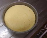 レアとベイクドのダブルチーズケーキ作り方15写真