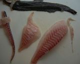 石鯛（石垣鯛）のカルパッチョ作り方3写真