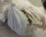 春キャベツの丸ごとロールキャベツ作り方11写真