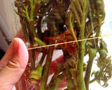 わらびのアク抜きとお浸し&タラの芽味噌和作り方6写真