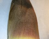 たけのこの水煮（あく抜き）作り方1写真