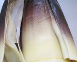 たけのこの水煮（あく抜き）作り方4写真