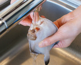 小メイタの唐揚げ（下処理の仕方から）作り方5写真