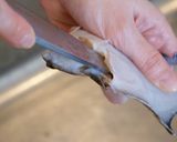 小メイタの唐揚げ（下処理の仕方から）作り方6写真