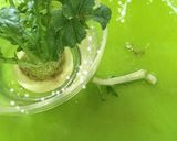 折れた茎から食べる☆大根葉ふりかけ作り方3写真