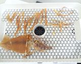 食品乾燥機で干しイカ作り、一夜干し作り方18写真
