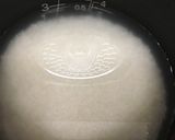 洋風マッシュルームの炊込みご飯作り方1写真