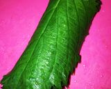 つゆがからんで美味しい 冷やしシソ蕎麦作り方1写真