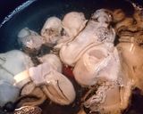絶品★プルプル★栄養満点【カキの味噌汁】作り方3写真