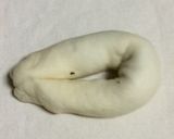 海苔マヨ明太パン作り方4写真
