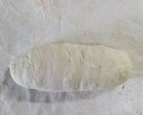 プチ✿フィセル作り方6写真