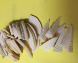 たけのこの煮物 ♪とにかくシンプル♪作り方1写真