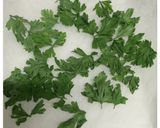 レンジで簡単ドライハーブ作り方2写真