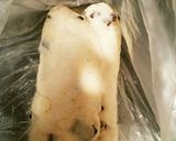 サクふわっ♡人気のザク板チョコスコーン作り方12写真