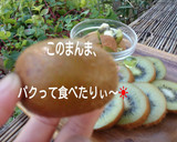 まるごとビタミンC♪皮ごとキウィの食べ方作り方3写真