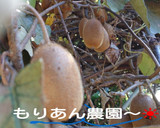 まるごとビタミンC♪皮ごとキウィの食べ方作り方7写真