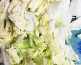 1時間で白菜の浅浅漬け作り方1写真