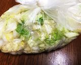 1時間で白菜の浅浅漬け作り方2写真