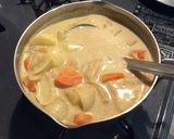 一人暮らしを始めた君に 急げカレースープ作り方5写真