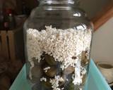 梅酒の梅で作る梅醤油麹作り方3写真