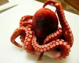 タコサラダ作り方1写真