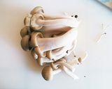 ☆余り物☆うどんのペペロンチーノ風作り方14写真