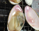 白貝攻略〜サラガイトヨム〜酒蒸し焼き作り方7写真