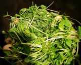 ちくわと豆苗のさっと煮作り方3写真