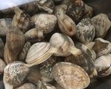 旬☆アサリの酒蒸し作り方1写真
