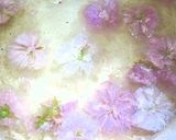 桜のヴェリーヌ✿作り方7写真