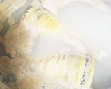簡単☆竹の子の水煮♡竹の子定番①作り方4写真