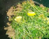 MECにも♡豚肉と豆苗のレモン炒め作り方3写真