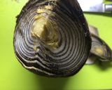お焦げも美味しい！ゴロンと贅沢！筍ご飯作り方2写真