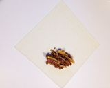 お弁当に♪簡単♬エビとタケノコの春巻き作り方7写真