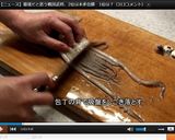 スルメの作り方♪作り方5写真