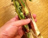 ヤマウドと柚子味噌作り方1写真