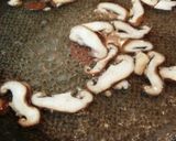 豆腐ハンバーグ♡タケノコ入り♪作り方10写真