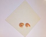お弁当に♪簡単♬エビとタケノコの春巻き作り方6写真