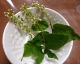 納豆にウワミゾザクラのトッピング（＾＾）作り方2写真