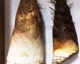 たけのこ＊オスとメスの見分け方＊作り方3写真